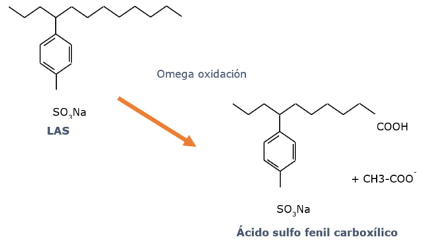 Biodegradabilidad primaria