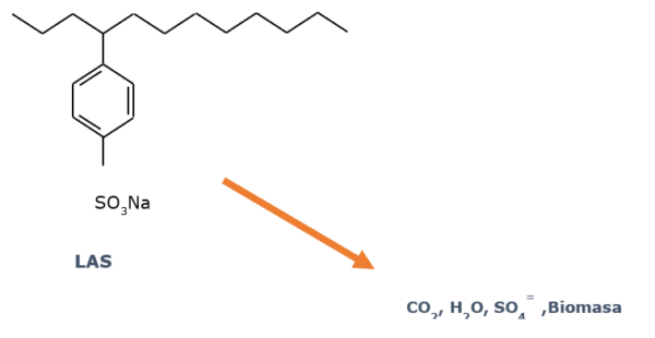 biodegradabilidad final